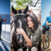 Collage Wie funktioniert People-Journalismus