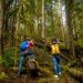 Touristen im Wald